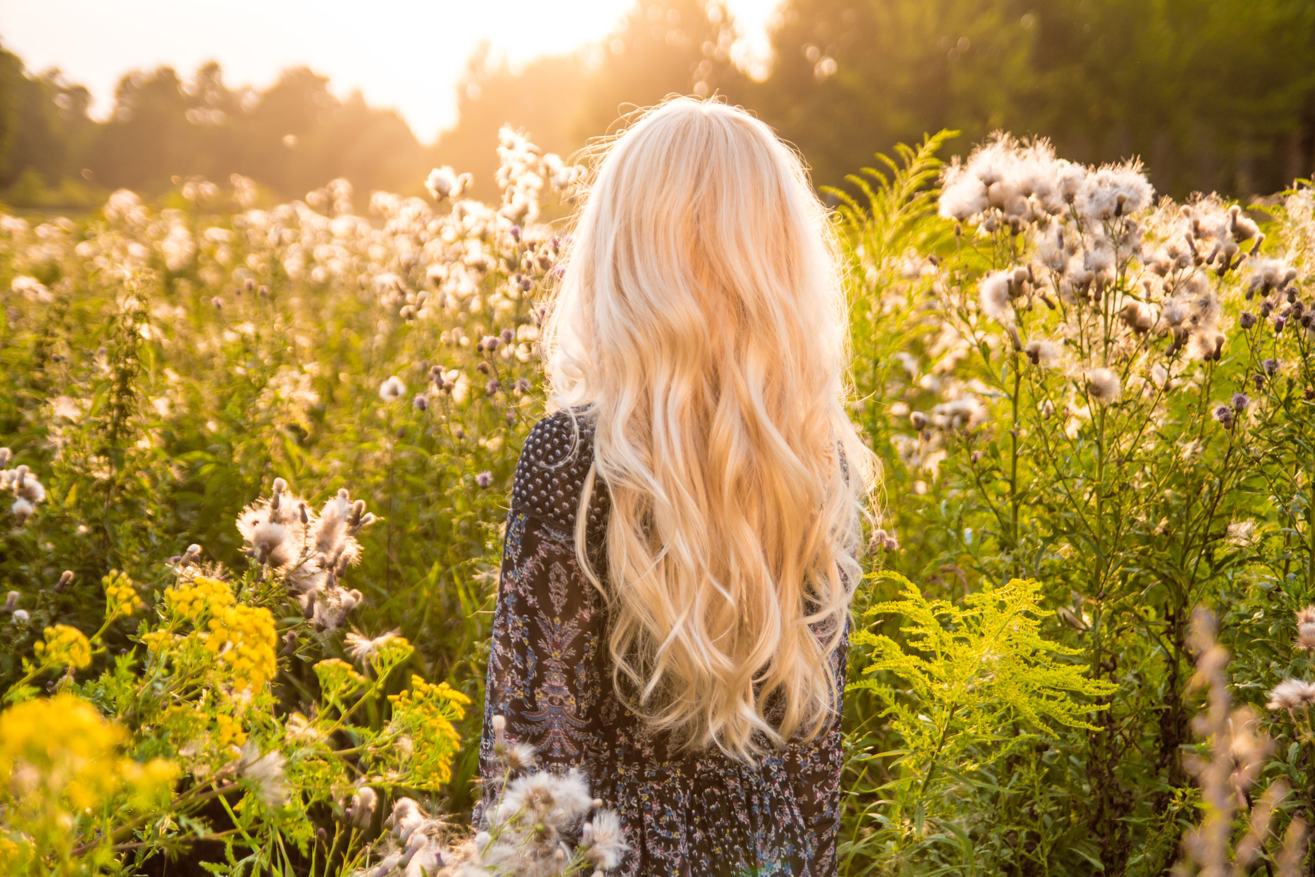 Long haired blond woman turned back on sunset meadov - outdoor image